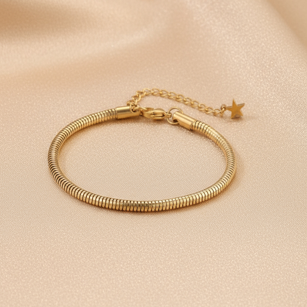 Women's Simple Stainless Steel Snake Chain Bracelet